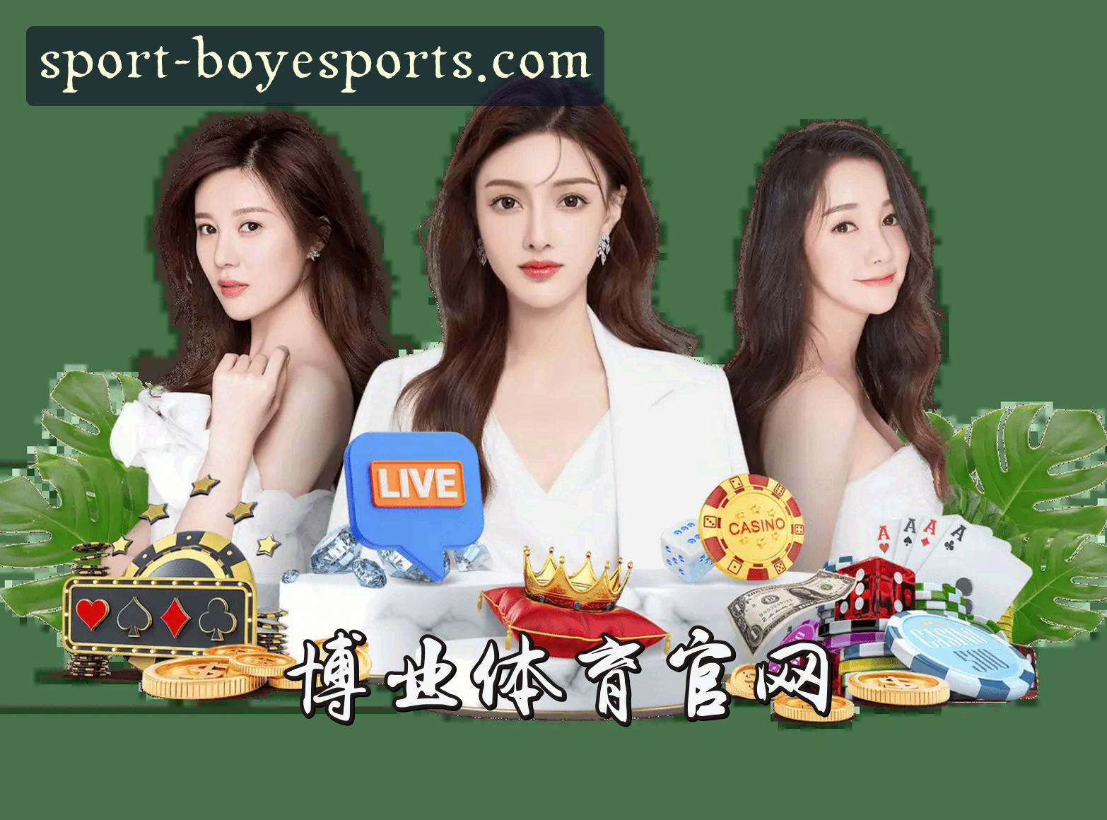 关于我们介绍